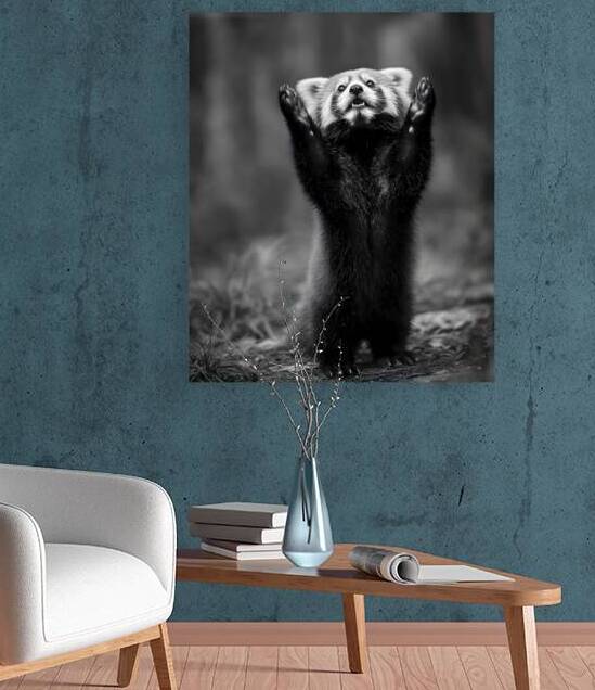 Standing Ovation – Red Panda Print by Savage Art Prints