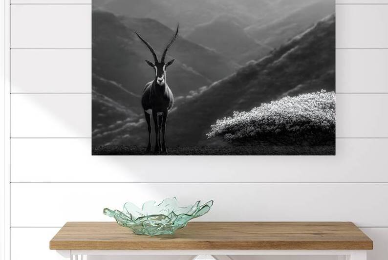 Silent Horn – Saola Print by Savage Art Prints