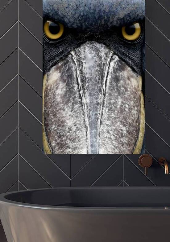 Prehistoric Stare – Present Day Shoebill Print by Savage Art Prints