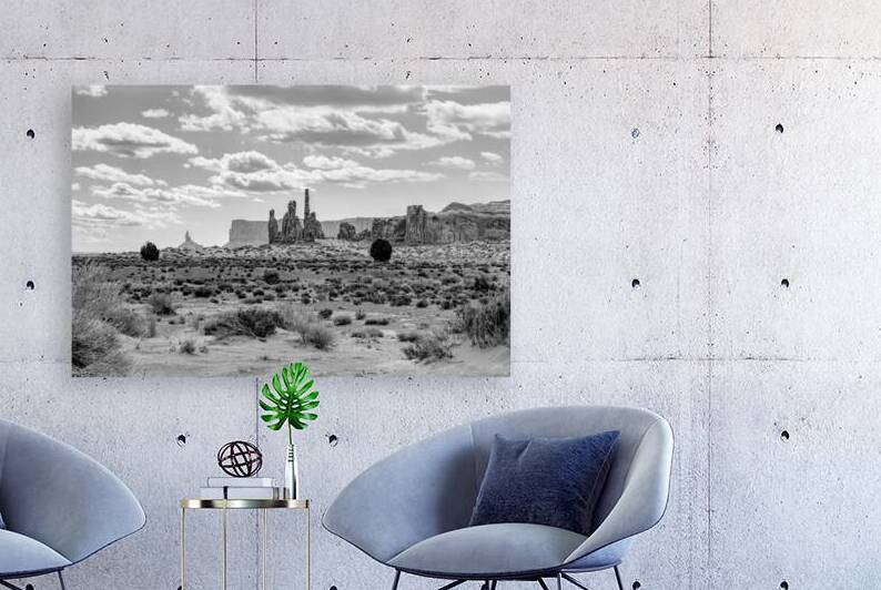 Monument Valley Totem Poles And Spires Grayscale by Jennifer White