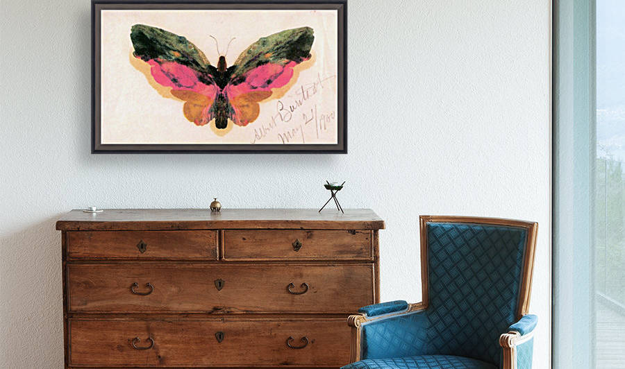 Butterfly by Bierstadt