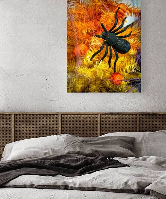 Fall Spider on Orange Tree for Halloween by Bill Swartwout Photography