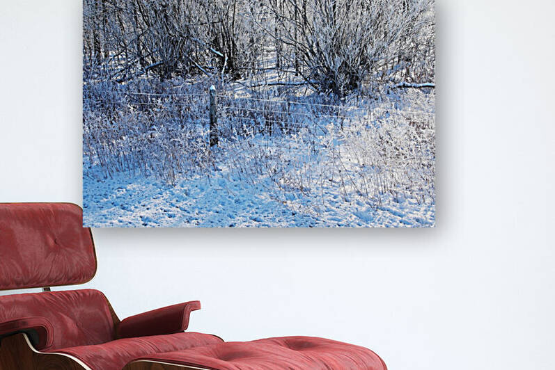 Winter Frost by Deb Oppermann