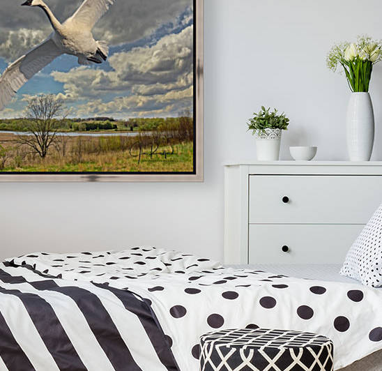 Swan on the Wing by Jim Radford