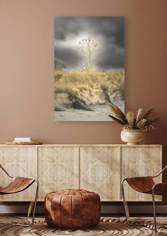 Virginia Beach Lonely Sand Dune Tree by Norma Brandsberg Photography