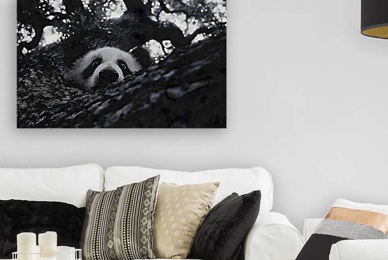 Peek-A-Boo – Panda Portrait Print by Savage Art Prints