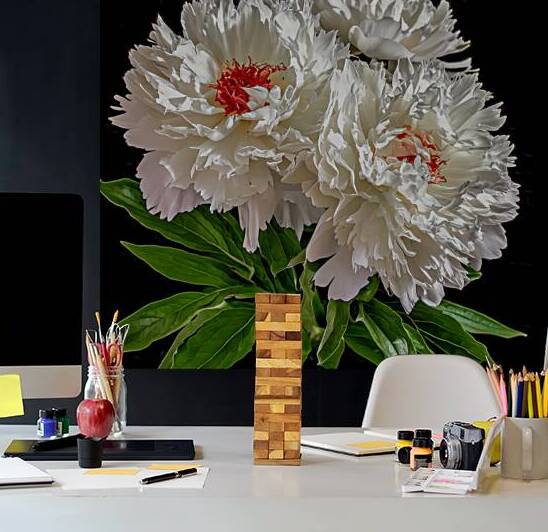 Pure White Peony Triplets with Red Hearts by Thea Menagh