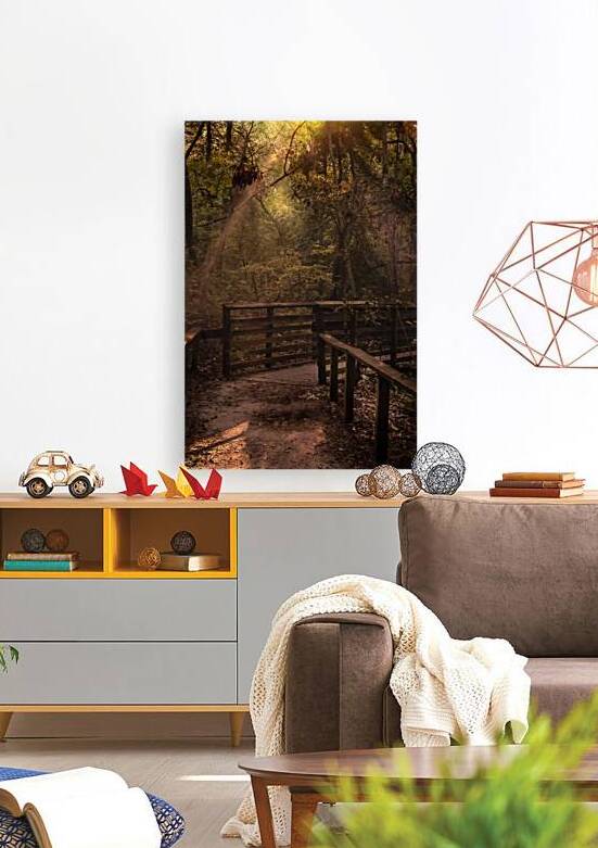 Virginia Cypress Forest Reflections by Norma Brandsberg Photography