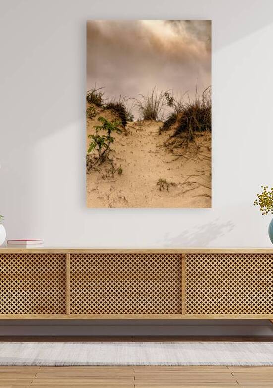 Sandy Path Through the Dunes by Norma Brandsberg Photography
