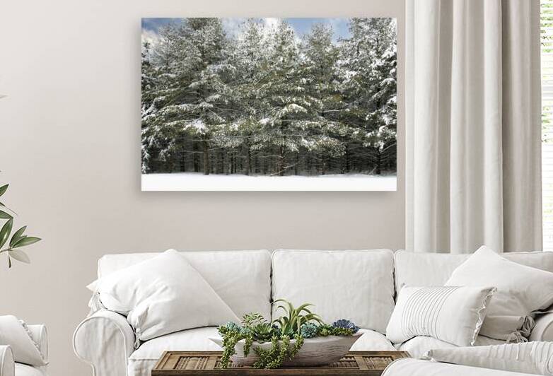 Collingwood Winter in the Pines by Thea Menagh