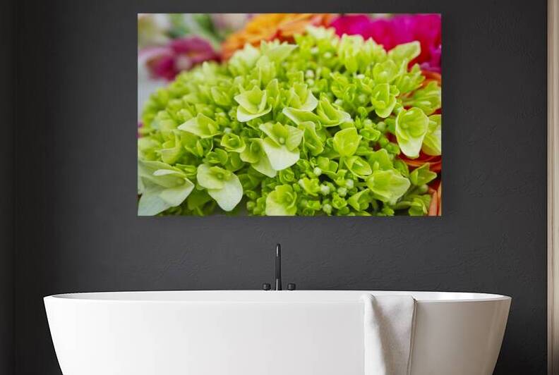 Green Hydrangea With Pink and Peach by Iris H Richardson