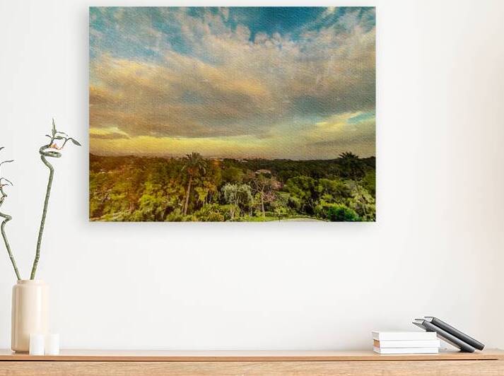 NANCY CALVERT PHOTOGRAPHY: JDavis Umbrellas 1 by Nancy Calvert