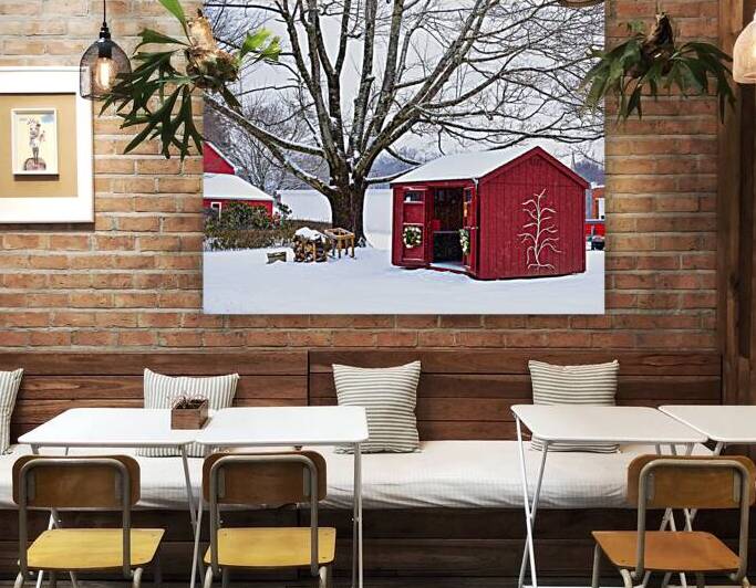 00Cover-Bussa Orchards in Winter by Kevin Savage