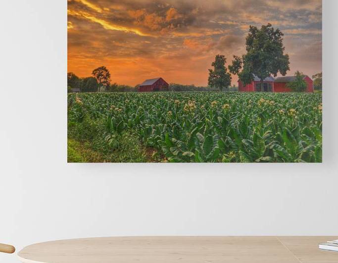 06Jun HortonFarm by Kevin Savage