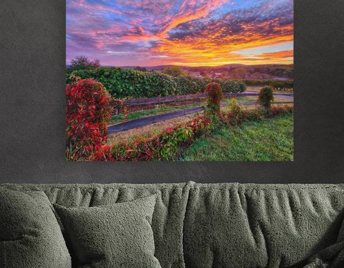 09Aug Belltown Hill Orchards by Kevin Savage