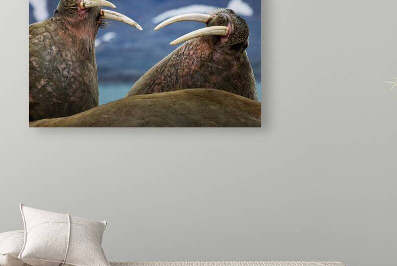 SIBLING QUARRELS by Doug Sturgess