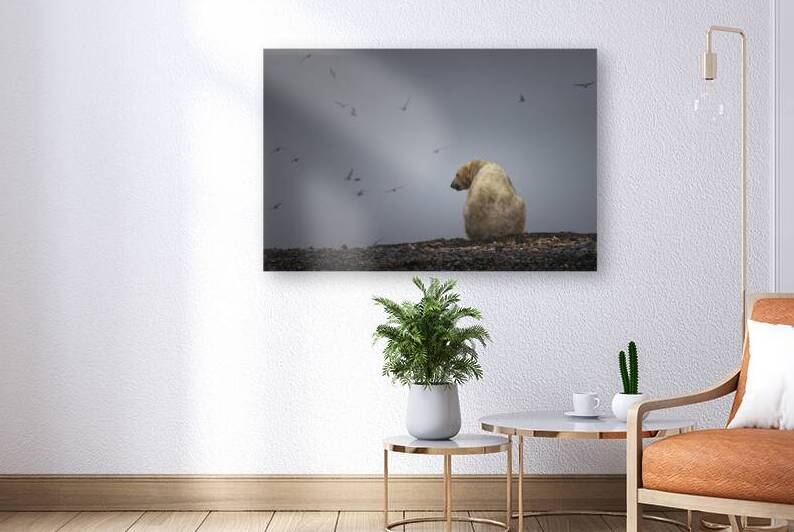 SOLITUDE OF THE ARCTIC KING by Doug Sturgess