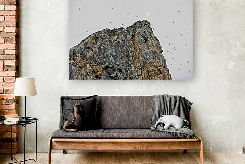 THE LIVING CLIFF by Doug Sturgess