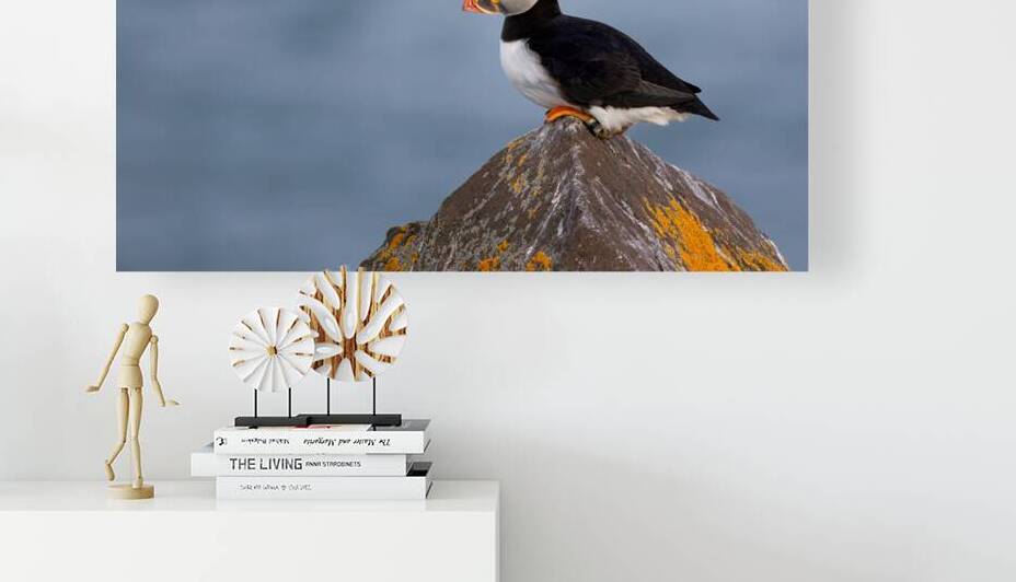 BETWEEN SEA SKY by Doug Sturgess