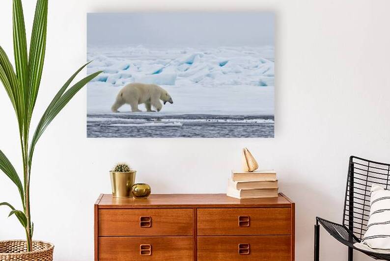 EMPRESS OF THE ARCTIC 3 by Doug Sturgess