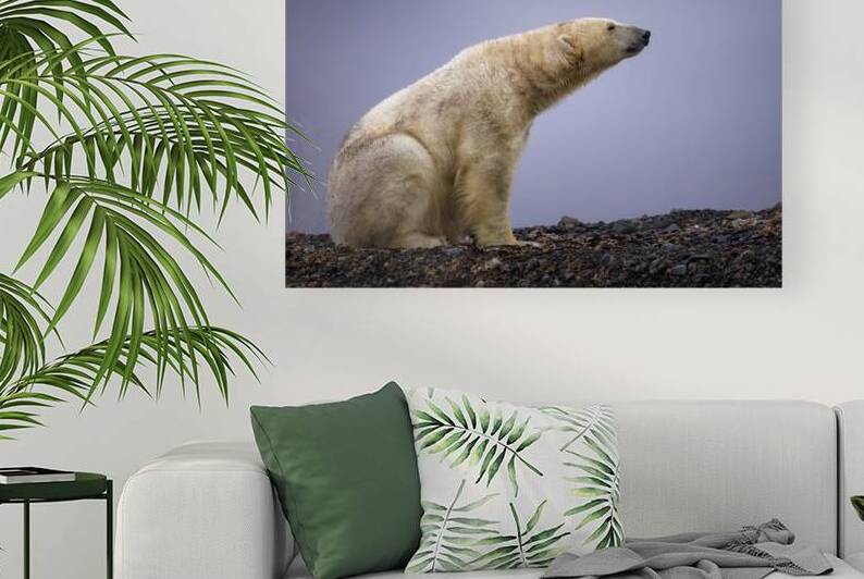 THE TASTE OF COLD AIR by Doug Sturgess