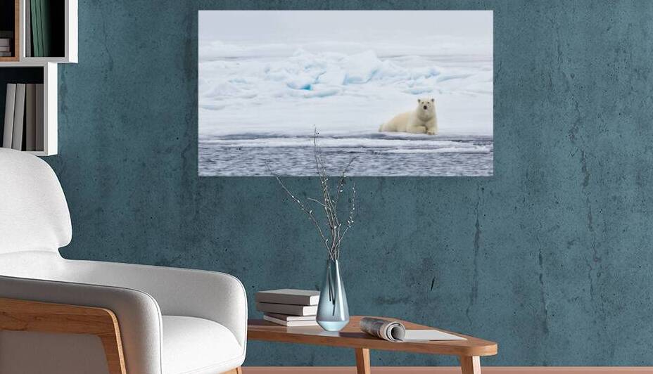 EMPRESS OF THE ARCTIC by Doug Sturgess