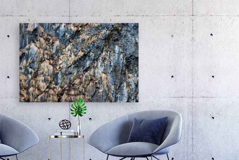 CLIFF COLONIES by Doug Sturgess