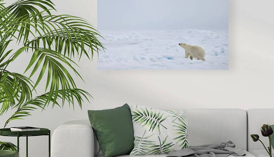 EMPRESS OF THE ARCTIC 8 by Doug Sturgess