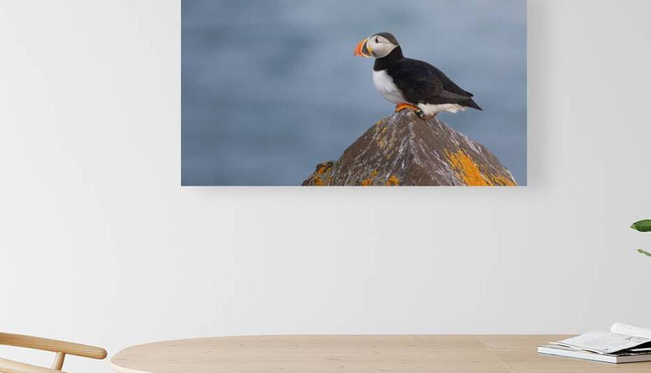 BETWEEN SEA SKY by Doug Sturgess