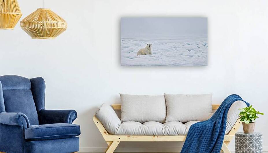 EMPRESS OF THE ARCTIC 7 by Doug Sturgess