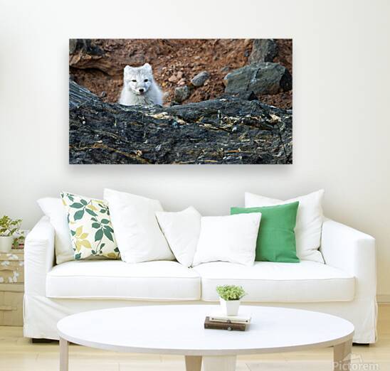 THE QUIET HUNT by Doug Sturgess