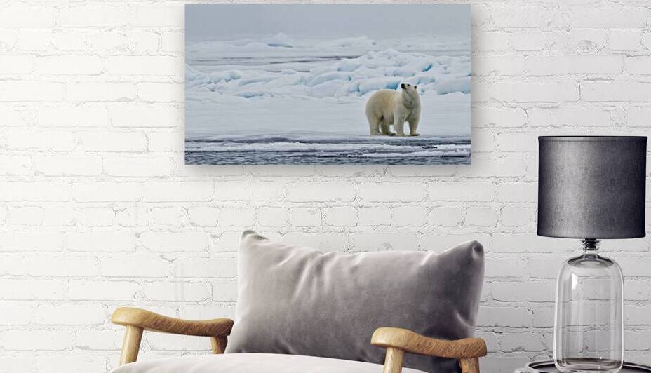 EMPRESS OF THE ARCTIC 2 by Doug Sturgess