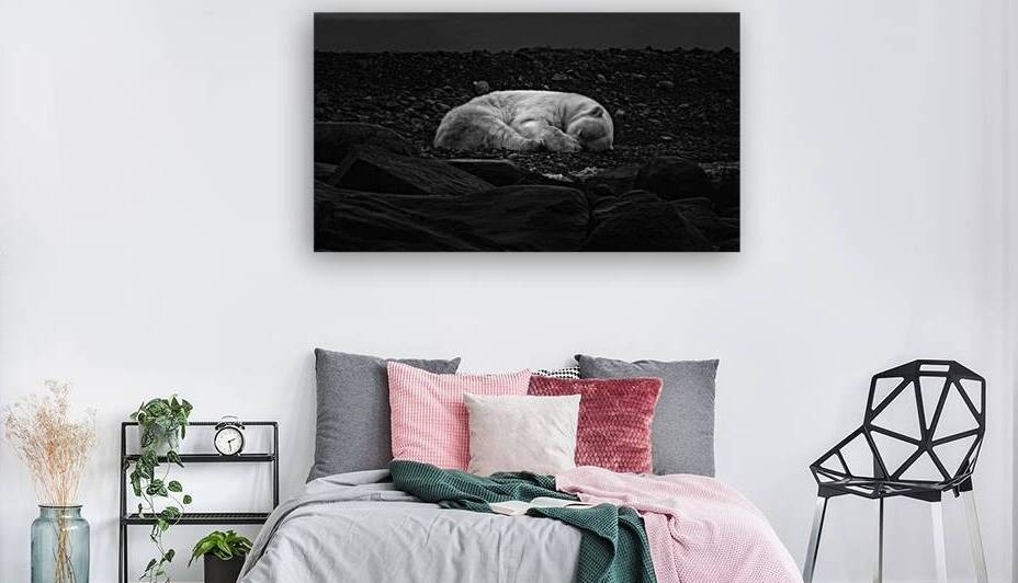 DREAMING OF ICE by Doug Sturgess