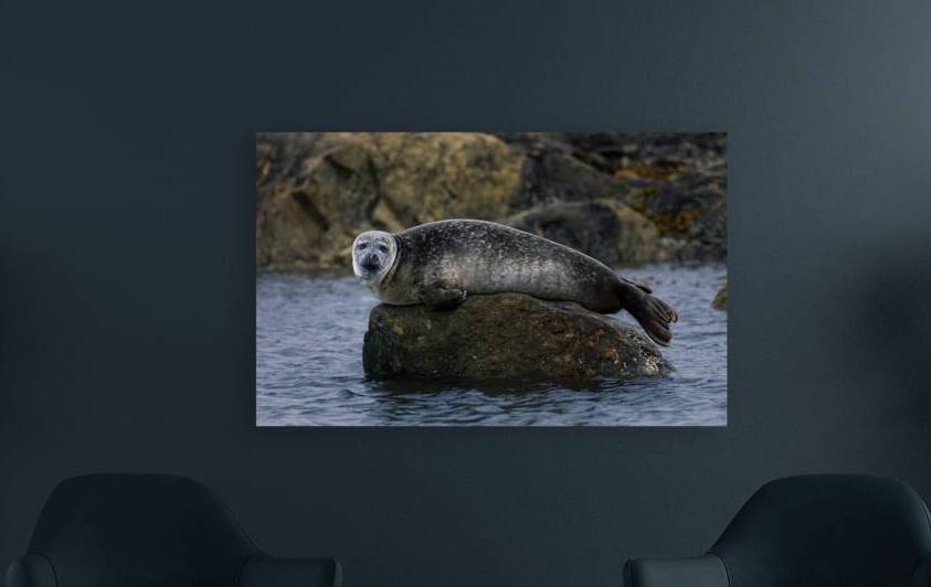 THE ROCK S KEEPER by Doug Sturgess