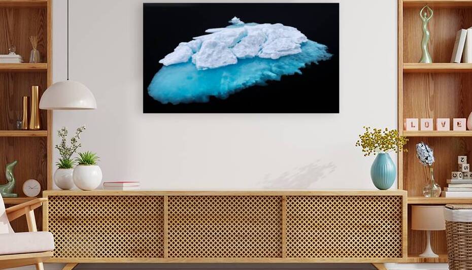 JELLYFISH ICEBERG by Doug Sturgess