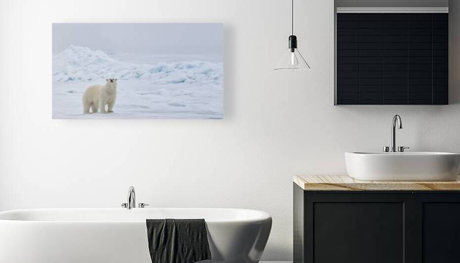 EMPRESS OF THE ARCTIC 5 by Doug Sturgess