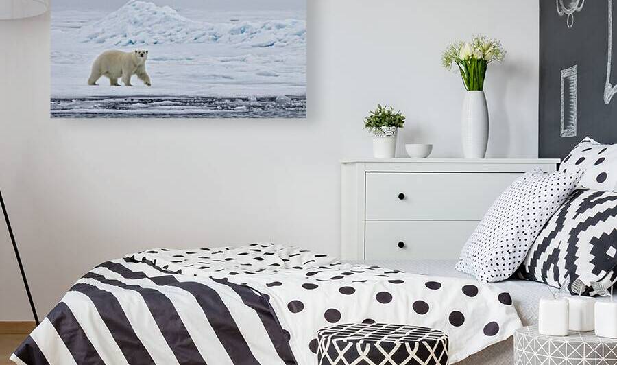 EMPRESS OF THE ARCTIC 4 by Doug Sturgess