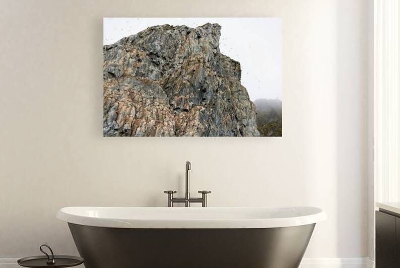 AVIAN HIGH RISE by Doug Sturgess