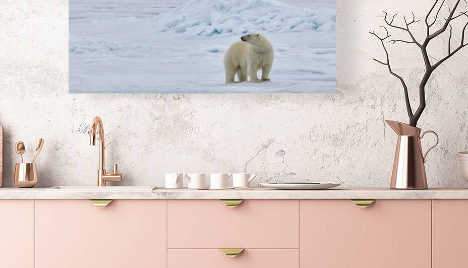 EMPRESS OF THE ARCTIC 6 by Doug Sturgess