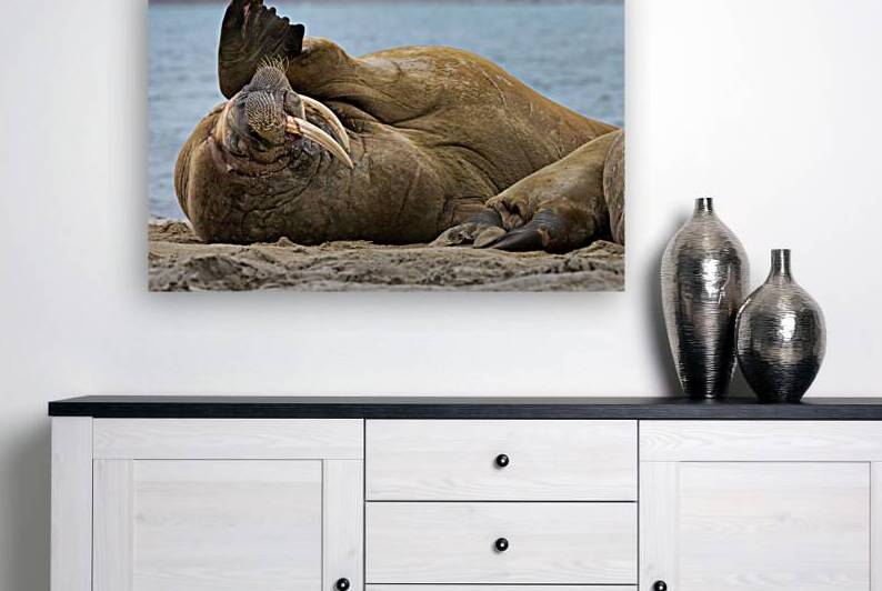 MONDAYS by Doug Sturgess