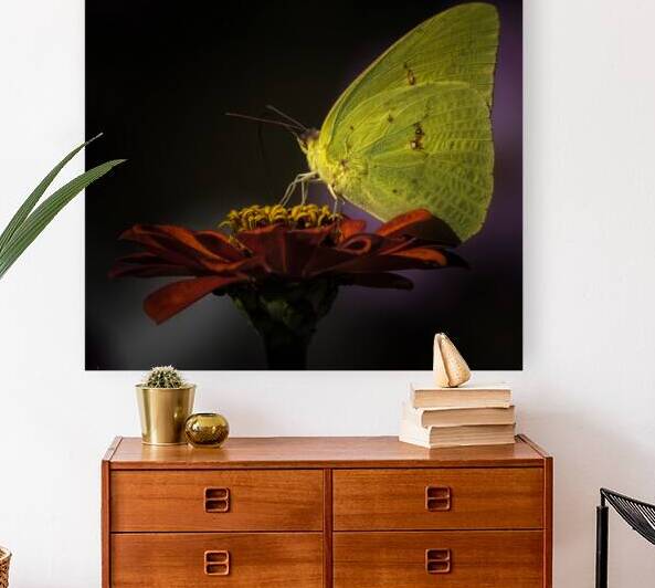 LANDING PAD by Doug Sturgess