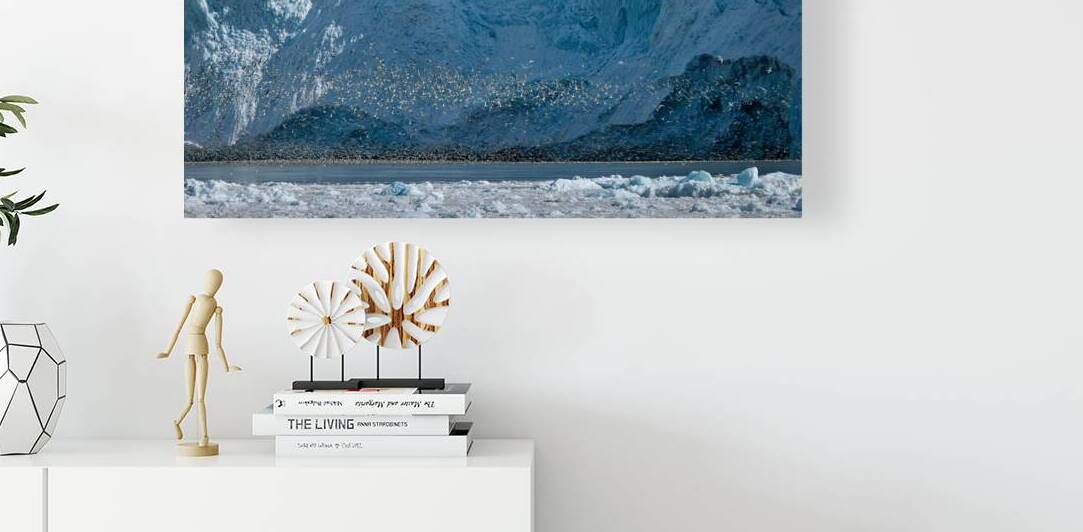 WINGS by Doug Sturgess