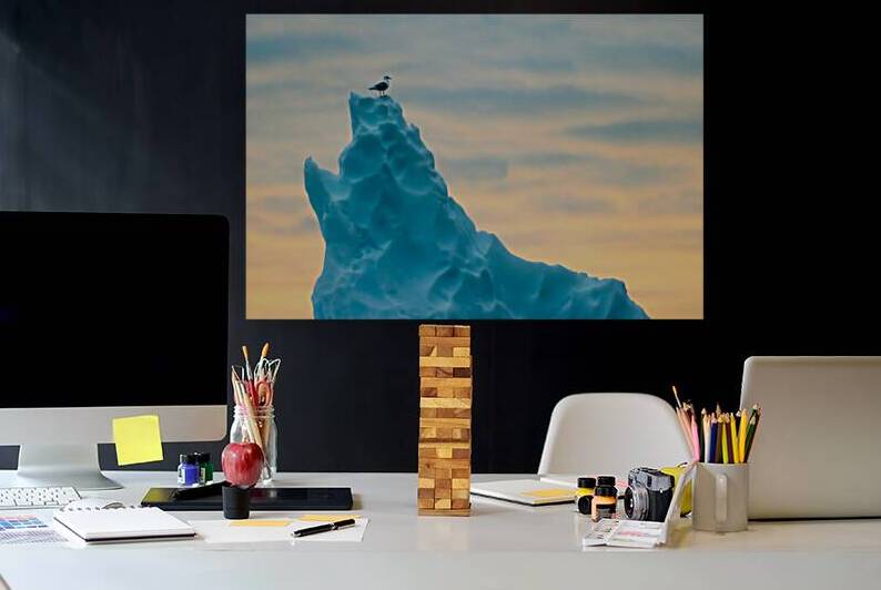 PERCHED by Doug Sturgess