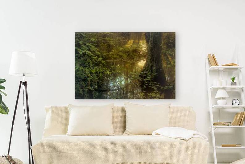 Serene Cypress Forest Sunrise Reflection by Norma Brandsberg Photography