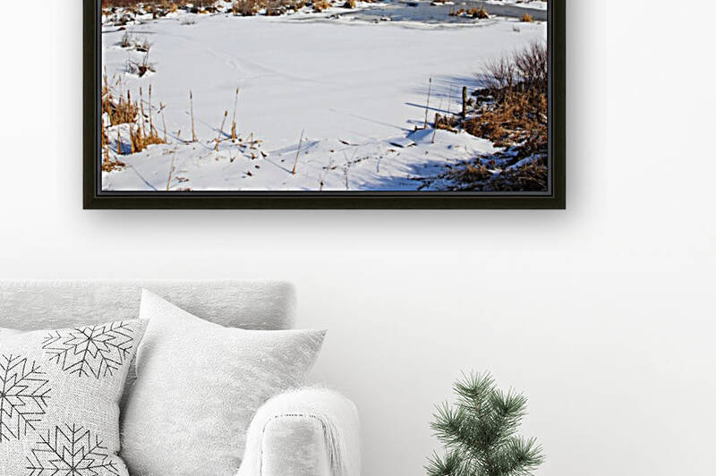 January Roadside Pond II by Deb Oppermann