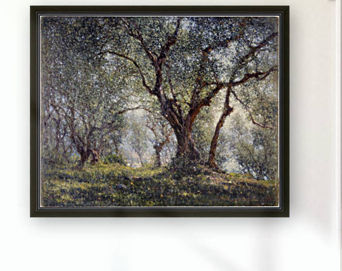 Les oliviers a Menton by Henry Brokman