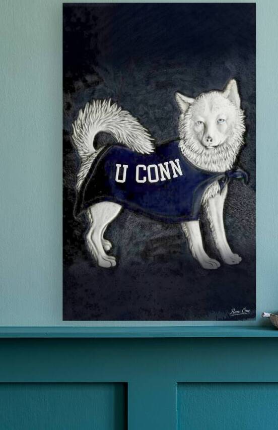 Vintage 1950s Connecticut Huskies Art by Row One Brand