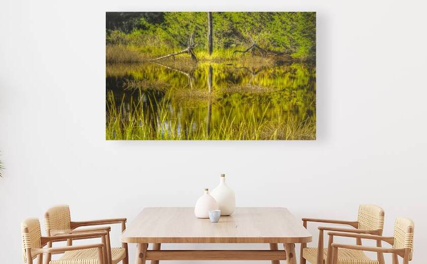 Southern Marsh Mirrored Reflections by Norma Brandsberg Photography