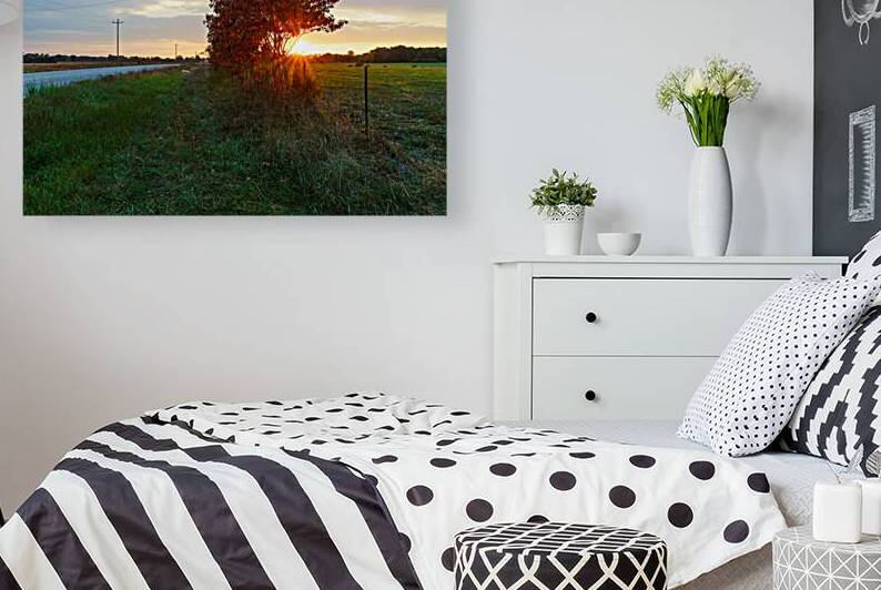 Red Sumac Tree Sunrise Countryside by Jennifer White