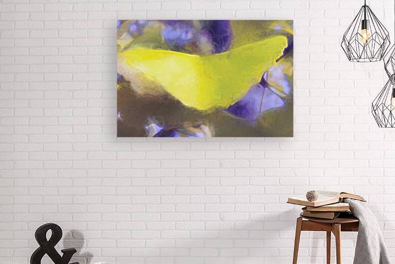 The Yellow Ginkgo Leaf by Norma Brandsberg Photography